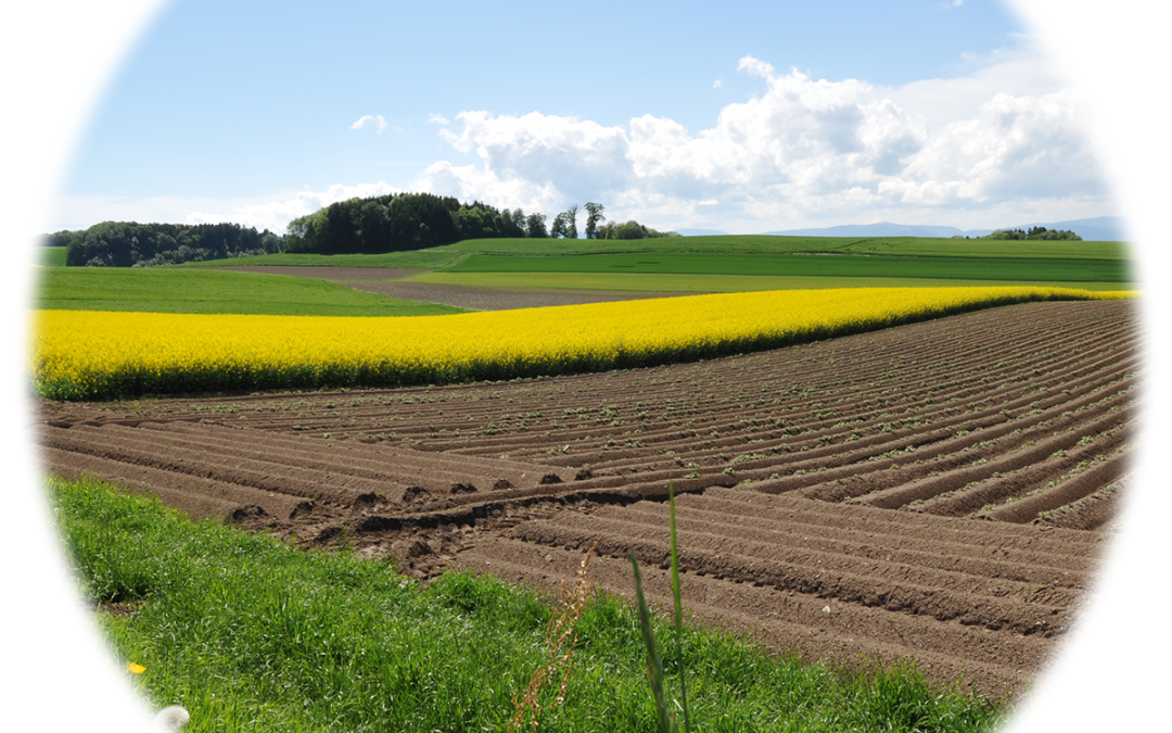 Tagung der Land- und Ernährungswirtschaft